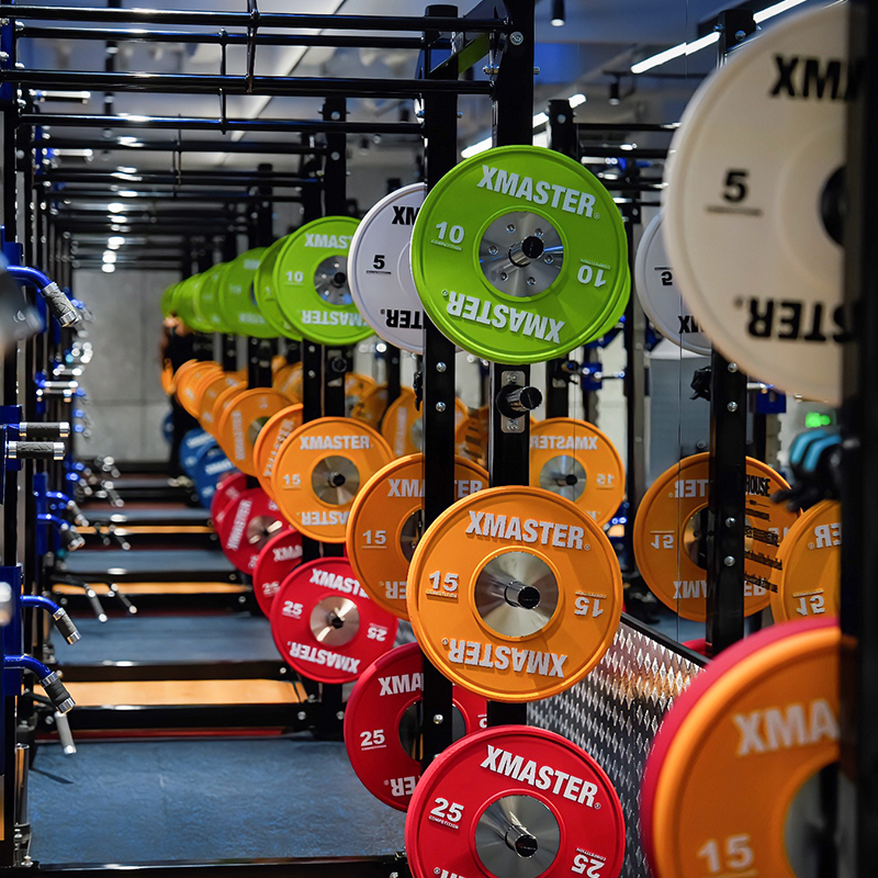 Bumper 25 kg, Paar